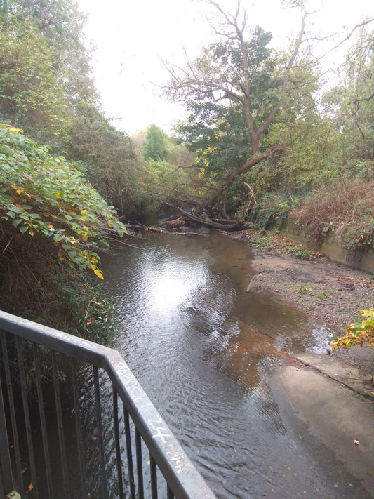 Walking along the River Brent