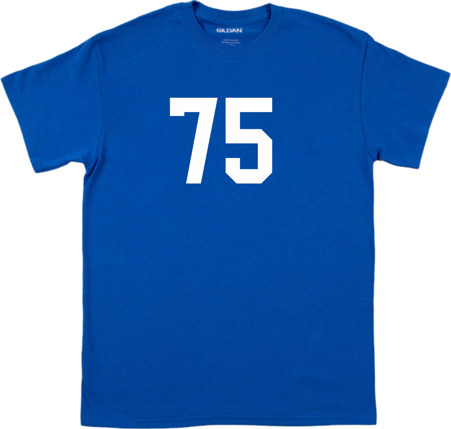 75 Retro Varsity College Style T-Shirt - 70s, Tour Date, 1975, Various Colours