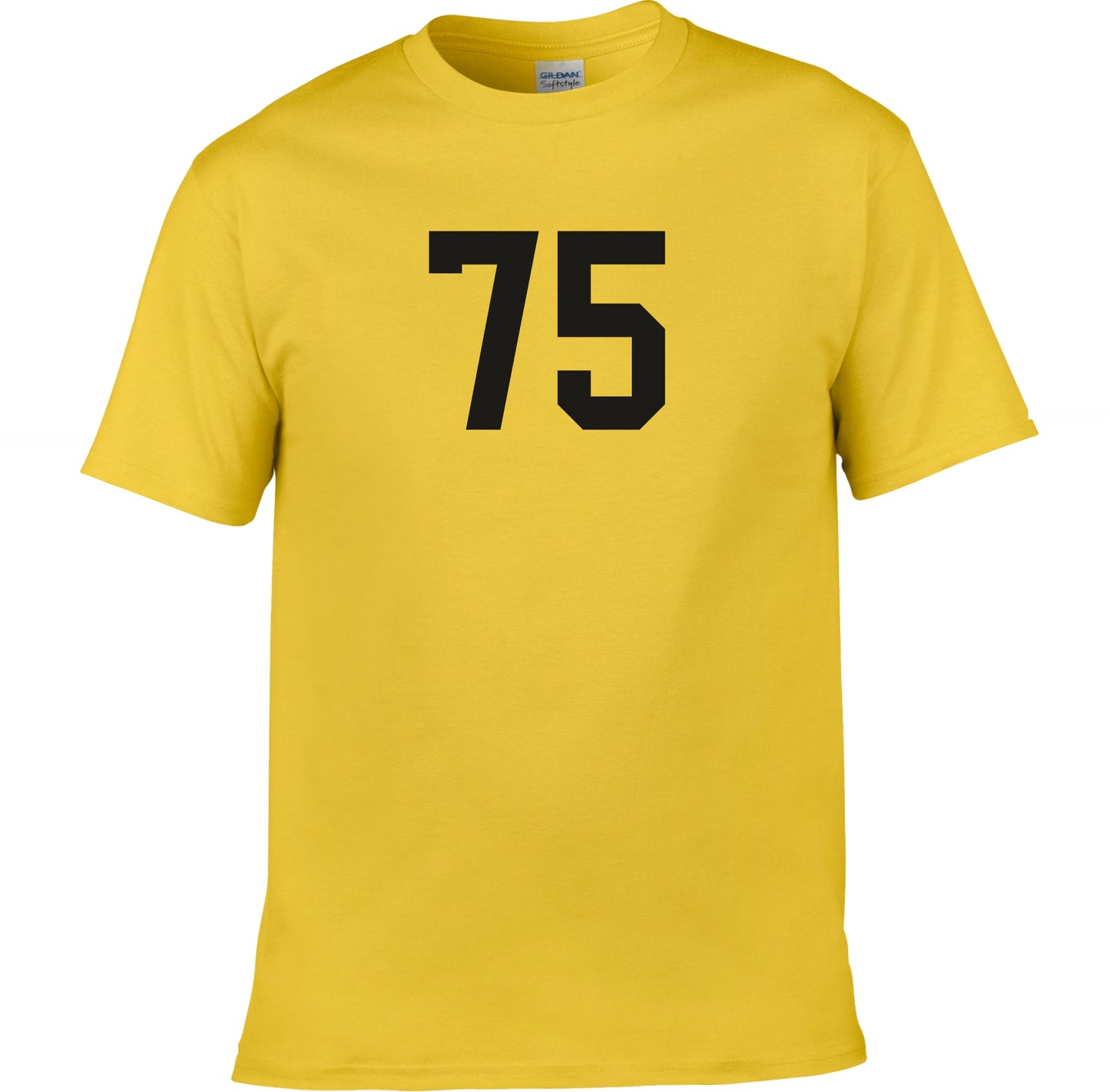 75 Retro Varsity College Style T-Shirt - 70s, Tour Date, 1975, Various Colours