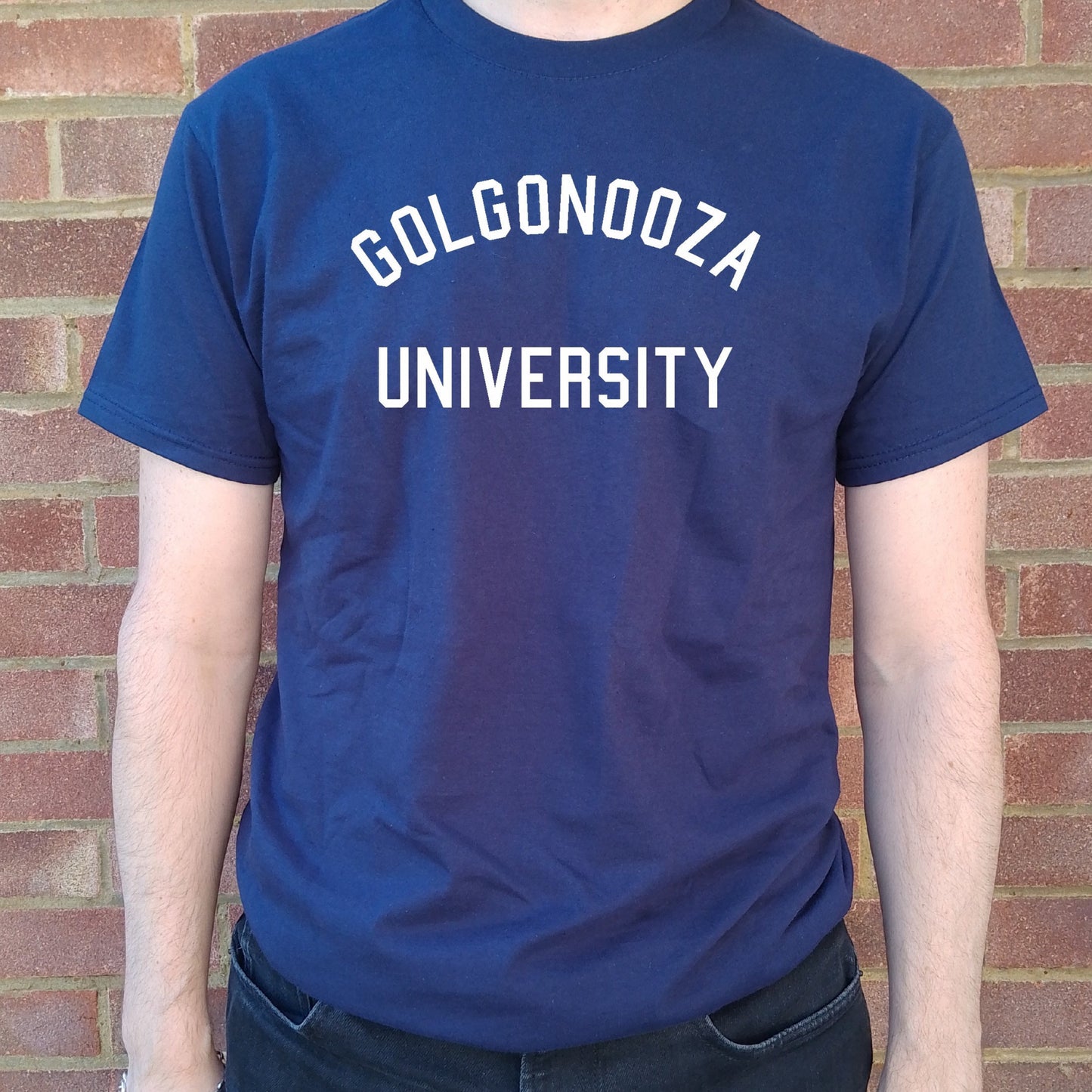 Golgonooza University Organic Cotton T-Shirt - William Blake, Mythical City, Various Colours