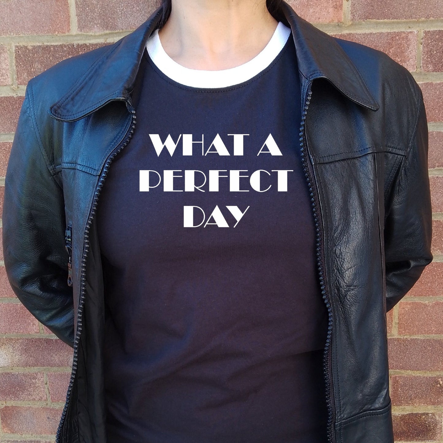'What A Perfect Day' Ringer T-Shirt - Retro 60s, Rocker, Inspired By Lou Reed, Various Colours