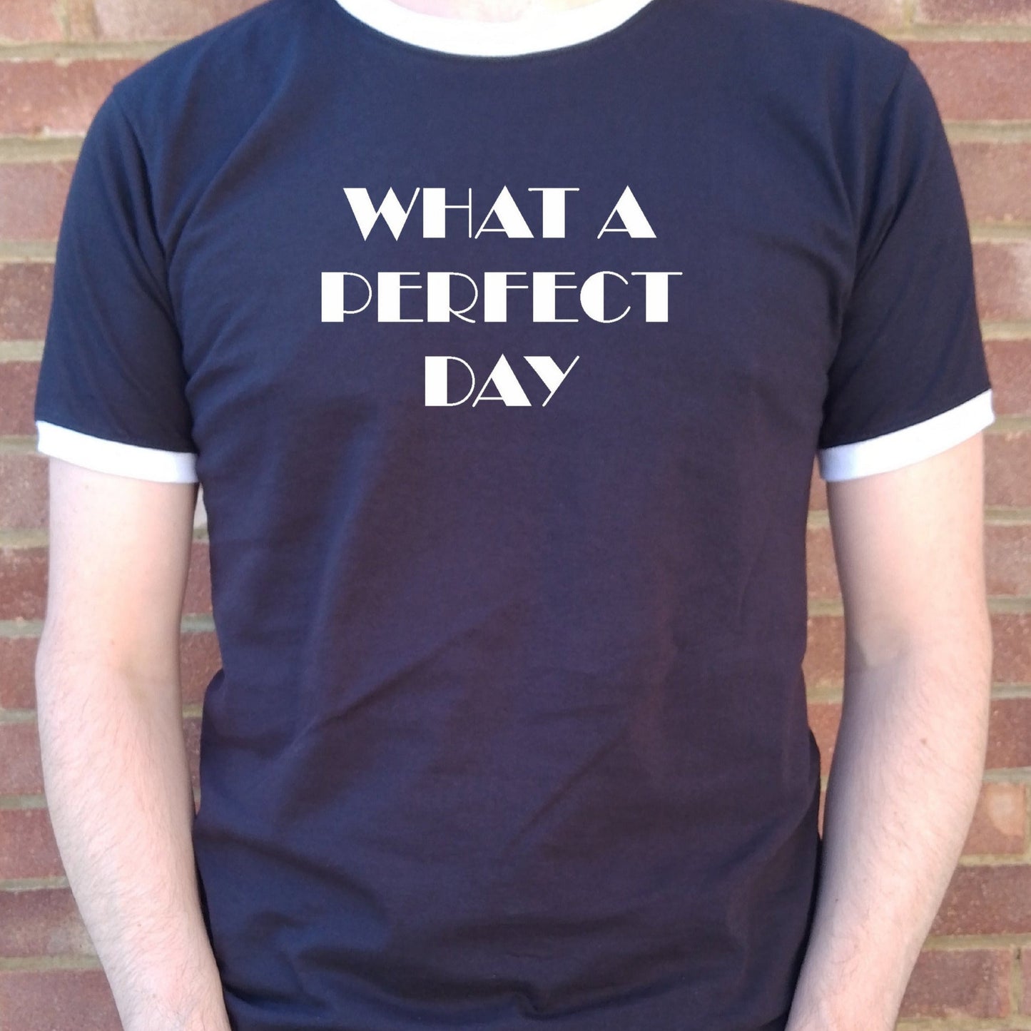 'What A Perfect Day' Ringer T-Shirt - Retro 60s, Rocker, Inspired By Lou Reed, Various Colours