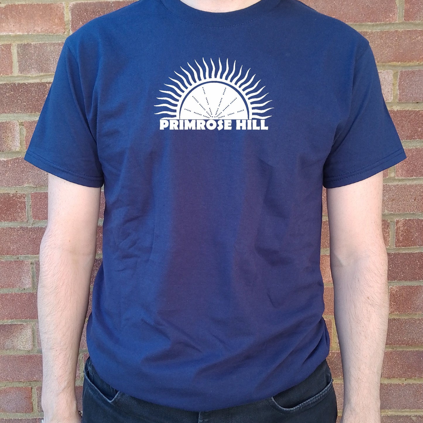 Primrose Hill, London Organic Cotton T-Shirt - William Blake Inspired Souvenir Top, Various Colours