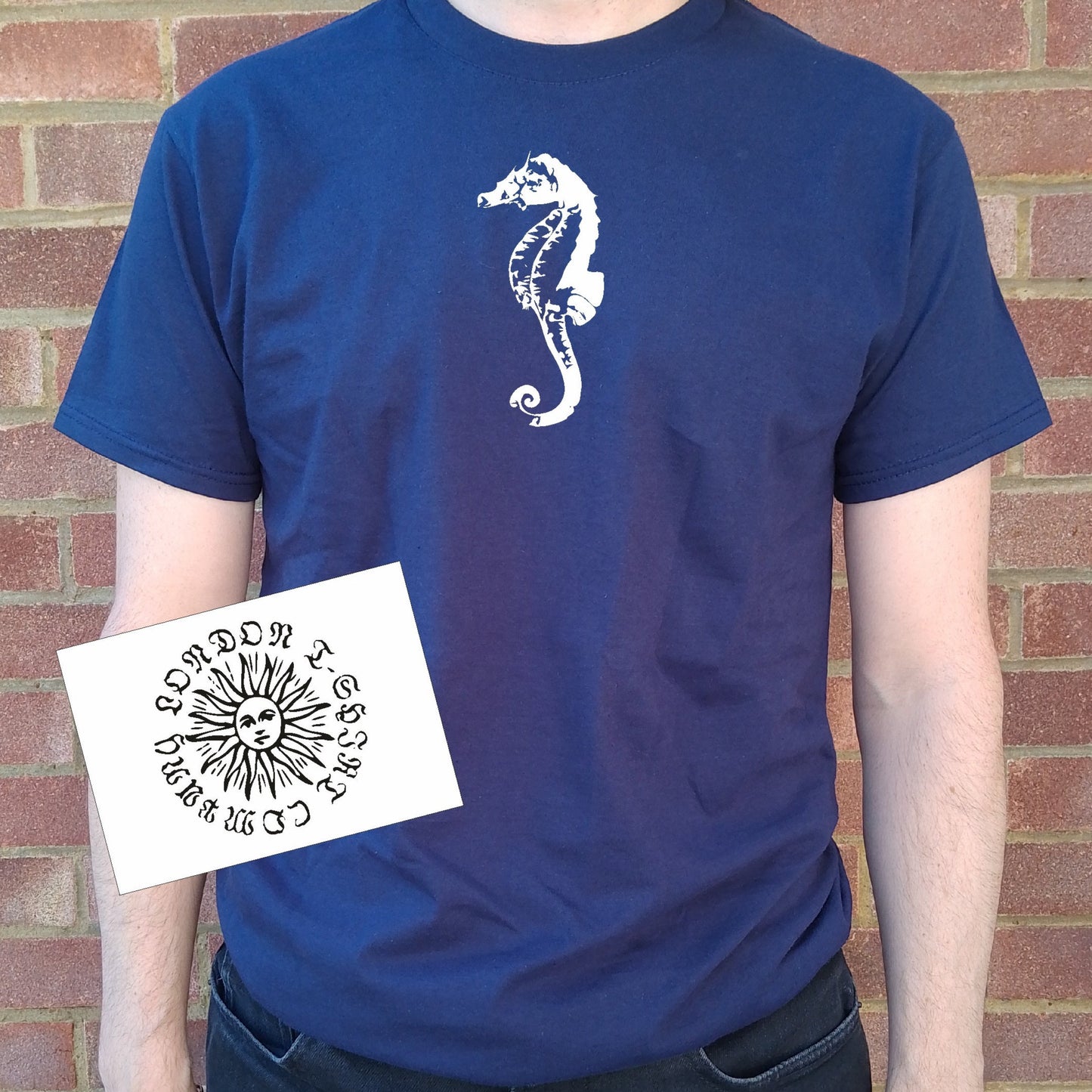 Seahorse T-Shirt - Cabinet of Curiosities, Various Colours
