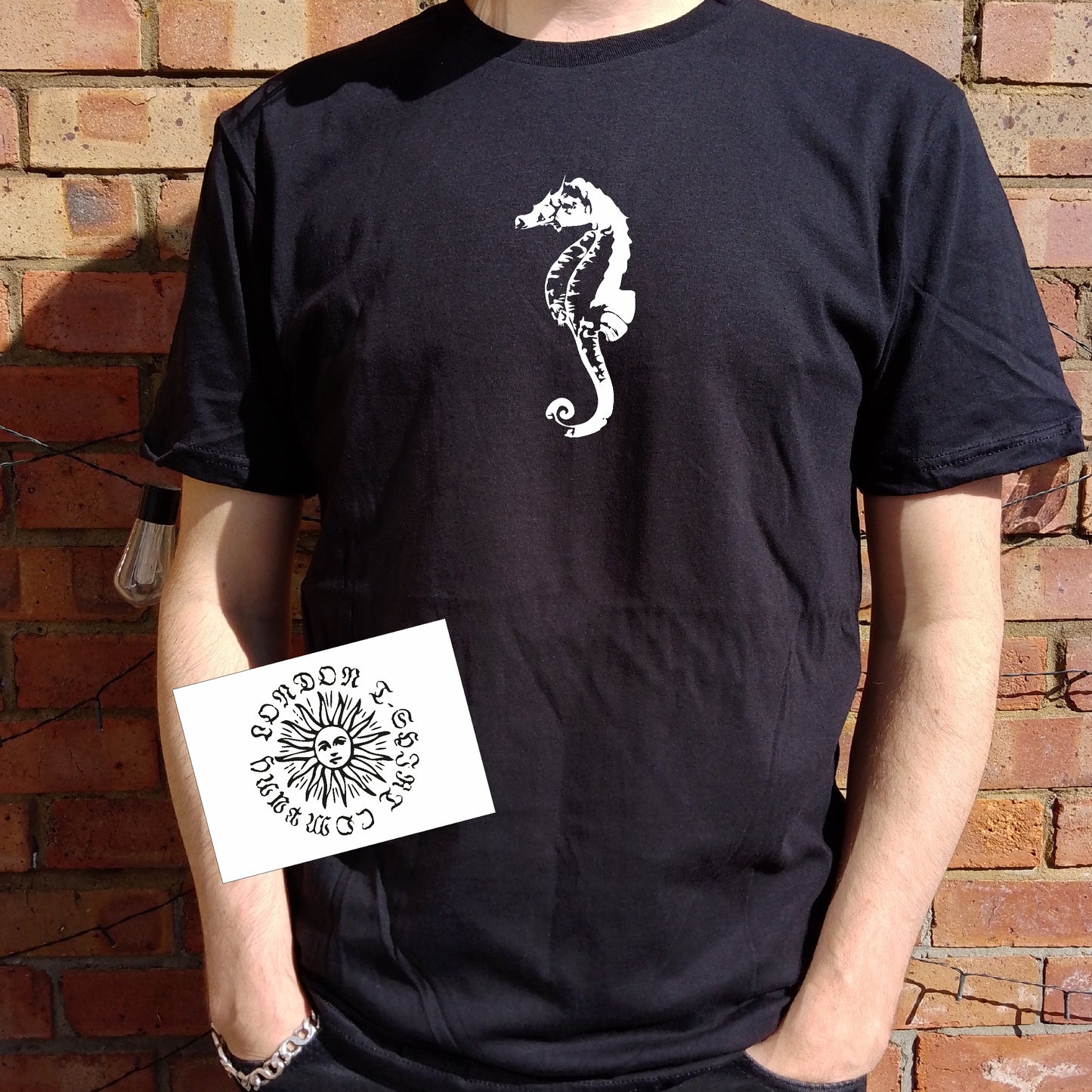 Seahorse T-Shirt - Cabinet of Curiosities, Various Colours