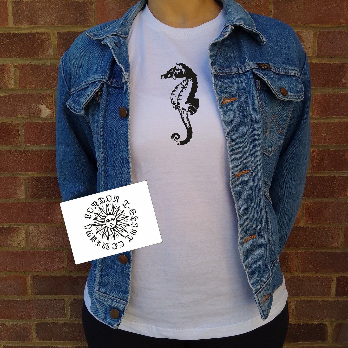 Seahorse T-Shirt - Cabinet of Curiosities, Various Colours