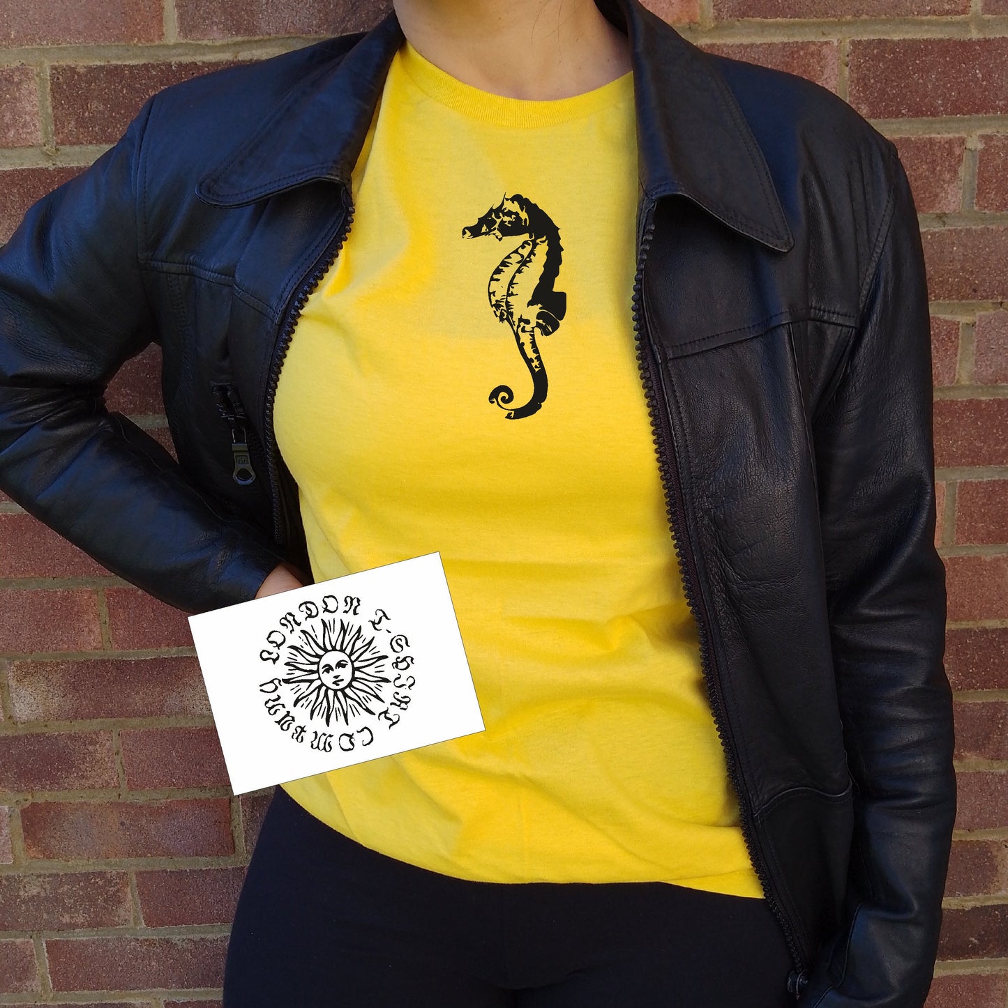 Seahorse T-Shirt - Cabinet of Curiosities, Various Colours
