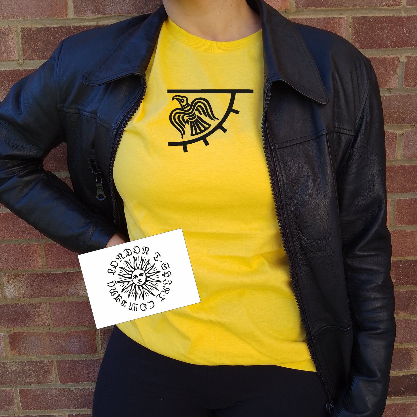 Raven Banner T-Shirt - Viking Flag, Norse Top, Various Colours