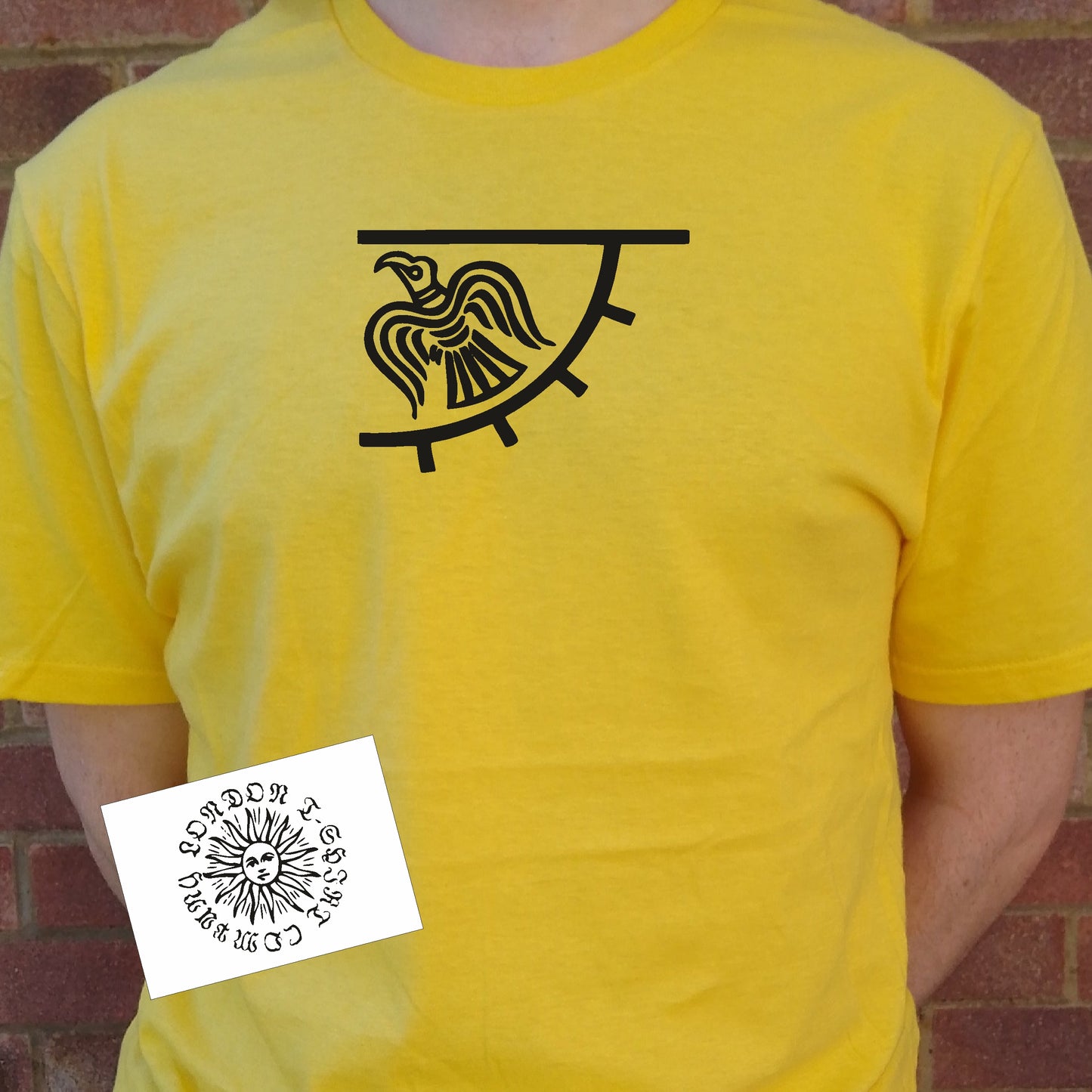 Raven Banner T-Shirt - Viking Flag, Norse Top, Various Colours