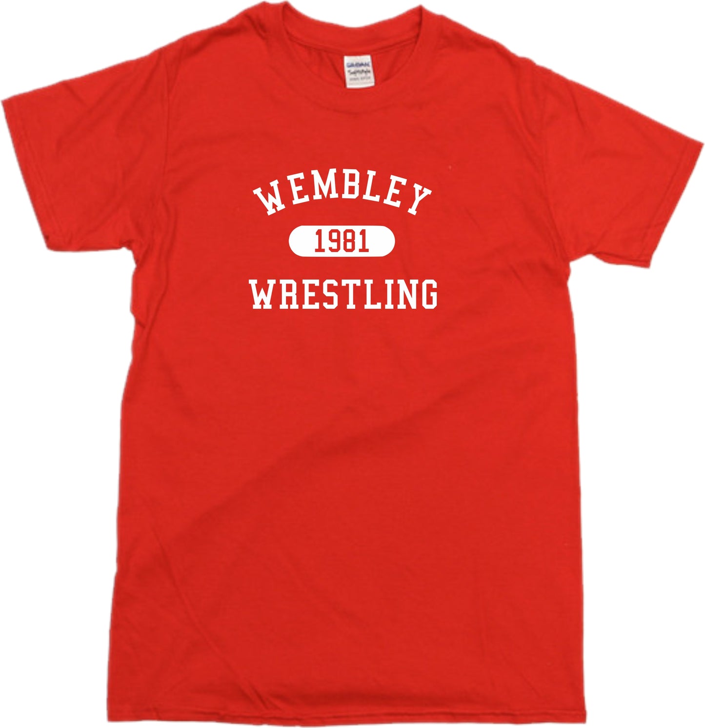 Wembley Wrestling 1981 Souvenir T-Shirt - British, Retro, Big Daddy, Giant Haystacks, Various Colours