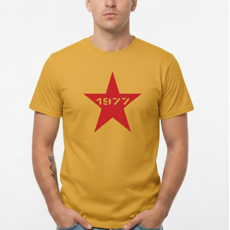 1977 Punk Star T-Shirt - Punk Rock, Sub Culture, Various Colours