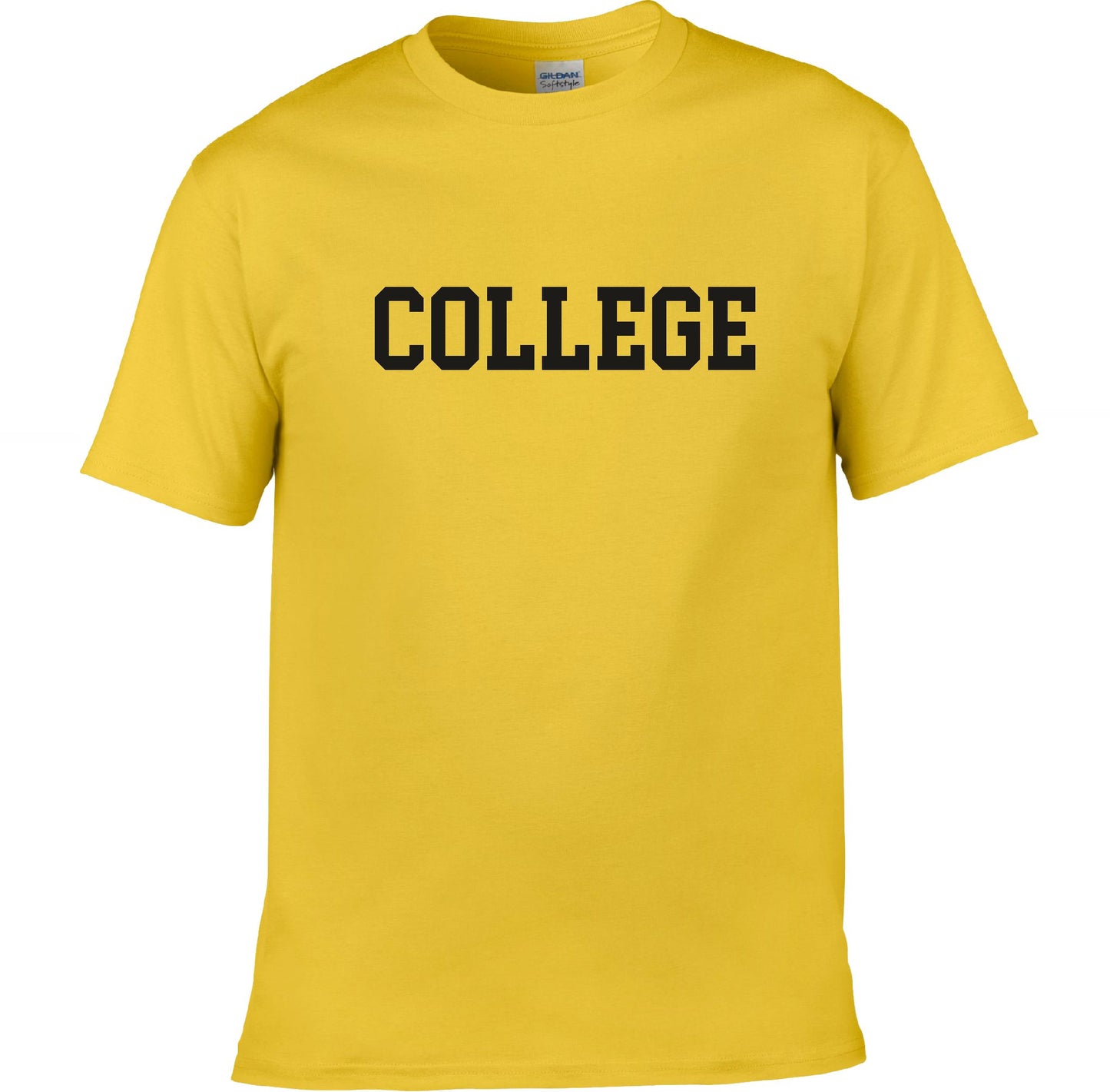 College T-Shirt - Retro Varsity Style, Football, Animal House, Various Colours