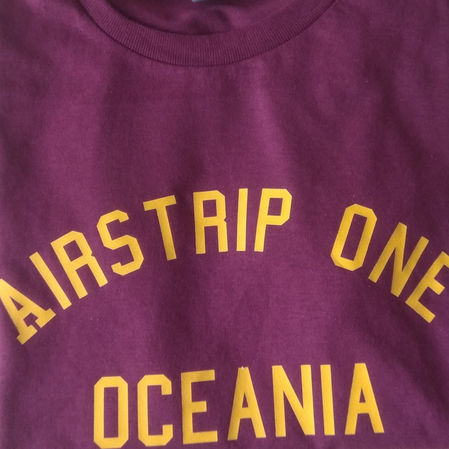 Airstrip One, Oceana T-Shirt - Souvenir Top Inspired By George Orwell's 1984 Various Colours