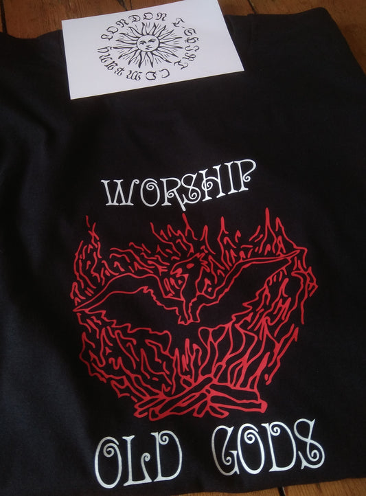 Worship Old Gods T-Shirt - Nature, Phoenix, Pagan, Various Colours