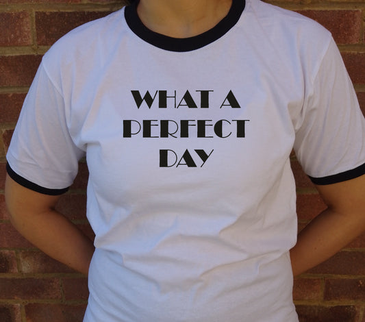 'What A Perfect Day' Ringer T-Shirt - Retro 60s, Rocker, Inspired By Lou Reed, Various Colours