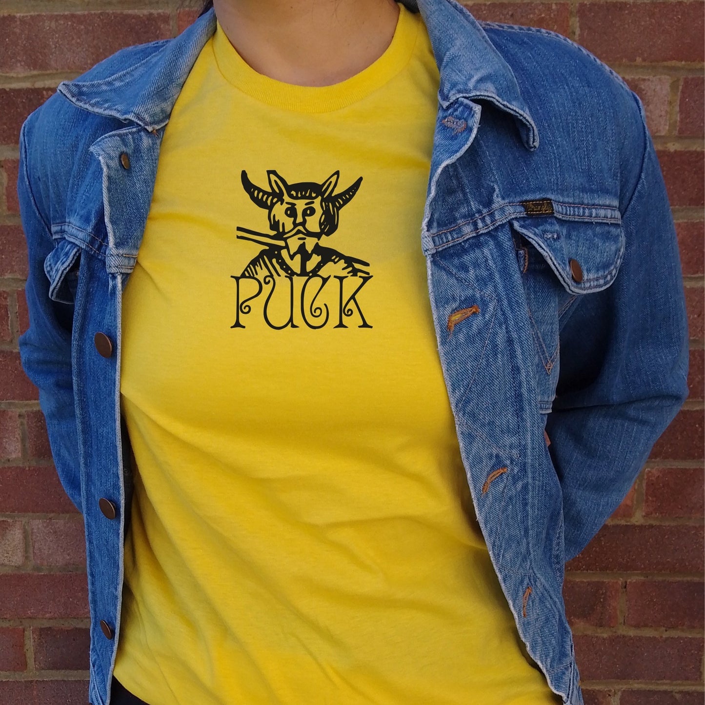 Puck T-Shirt - English Folklore, Various Colours