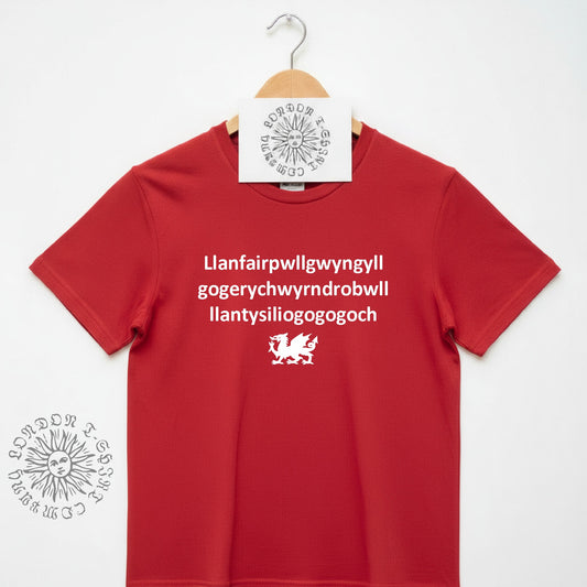Llanfairpwllgwyngyllgogerychwyrndrobwllllantysiliogogogoch T-Shirt - Wales Souvenir, Welsh Town With Longest Name, Various Colours