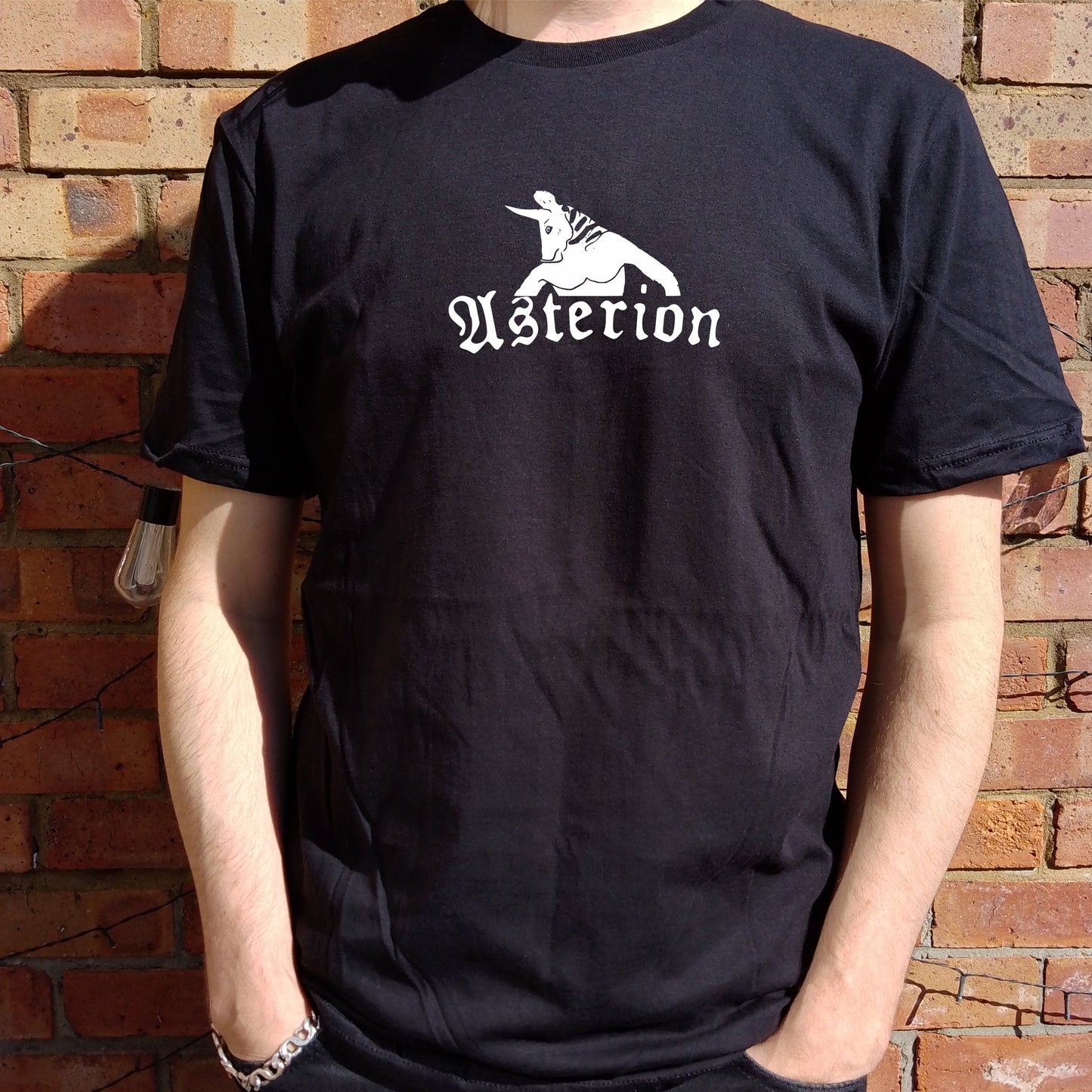 Asterion T-Shirt - Minotaur, Inspired By The Borges Short Story 'The House of Asterion', S-XXL
