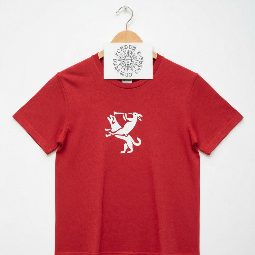 Lord Of Misrule T-Shirt - Feast Of Fools, Christmas Folklore, Various Colours